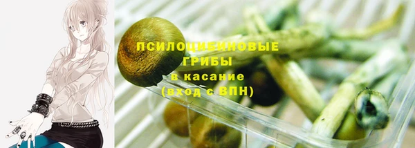 бутират Белокуриха