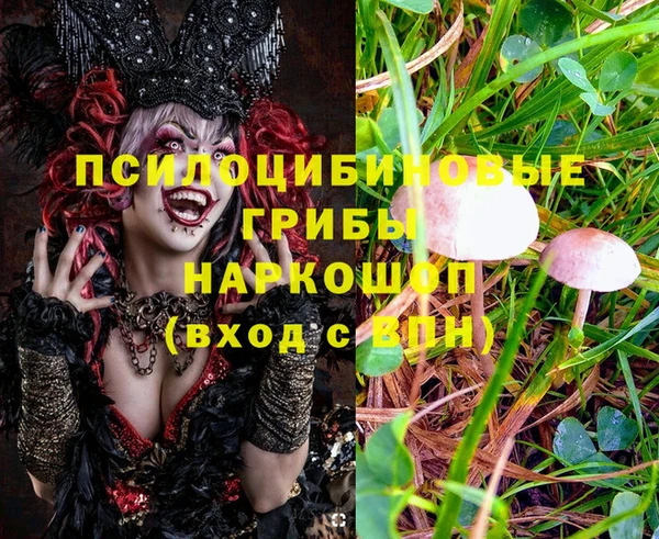 ПСИЛОЦИБИНОВЫЕ ГРИБЫ Баксан