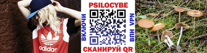 Псилоцибиновые грибы Magic Shrooms  блэк спрут ONION  даркнет как зайти  как найти наркотики  Фокино 